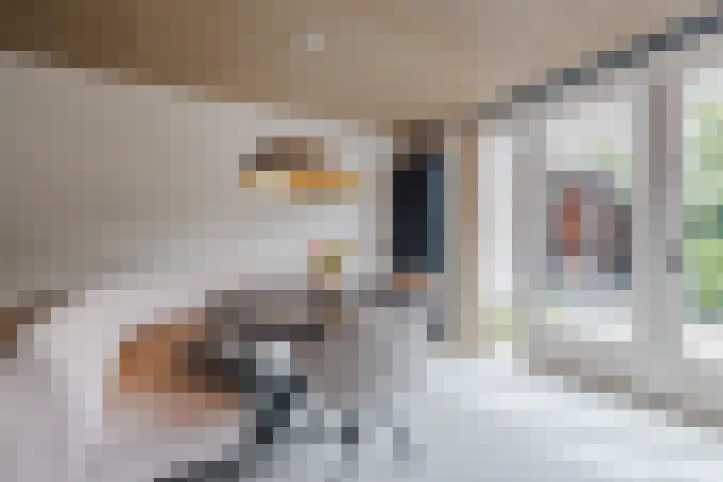 Doorniksland 10 Hoevelaken thumbnail 14