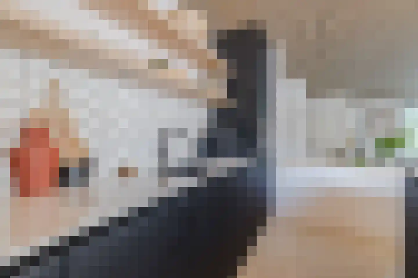 Doorniksland 10 Hoevelaken thumbnail 18
