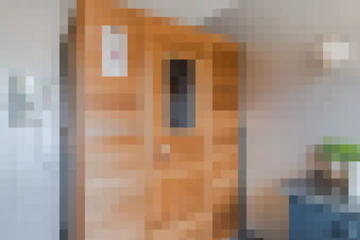 Doorniksland 10 Hoevelaken thumbnail 36