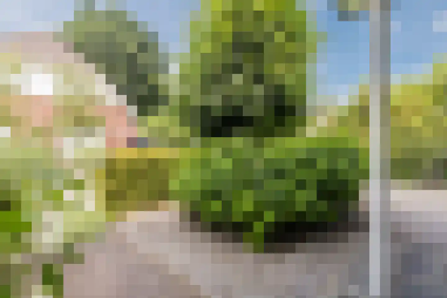 Doorniksland 10 Hoevelaken thumbnail 4