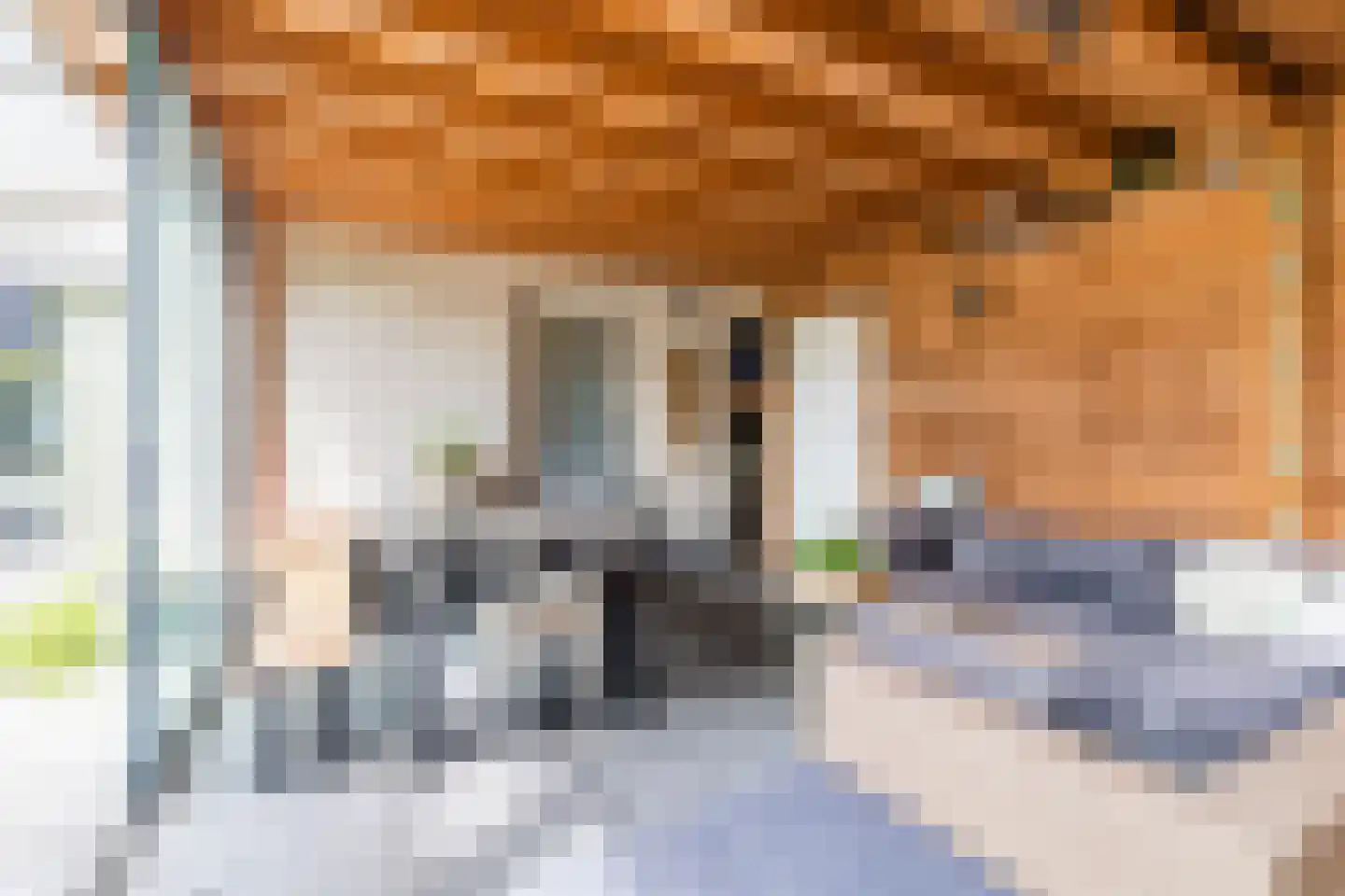 Doorniksland 10 Hoevelaken thumbnail 54