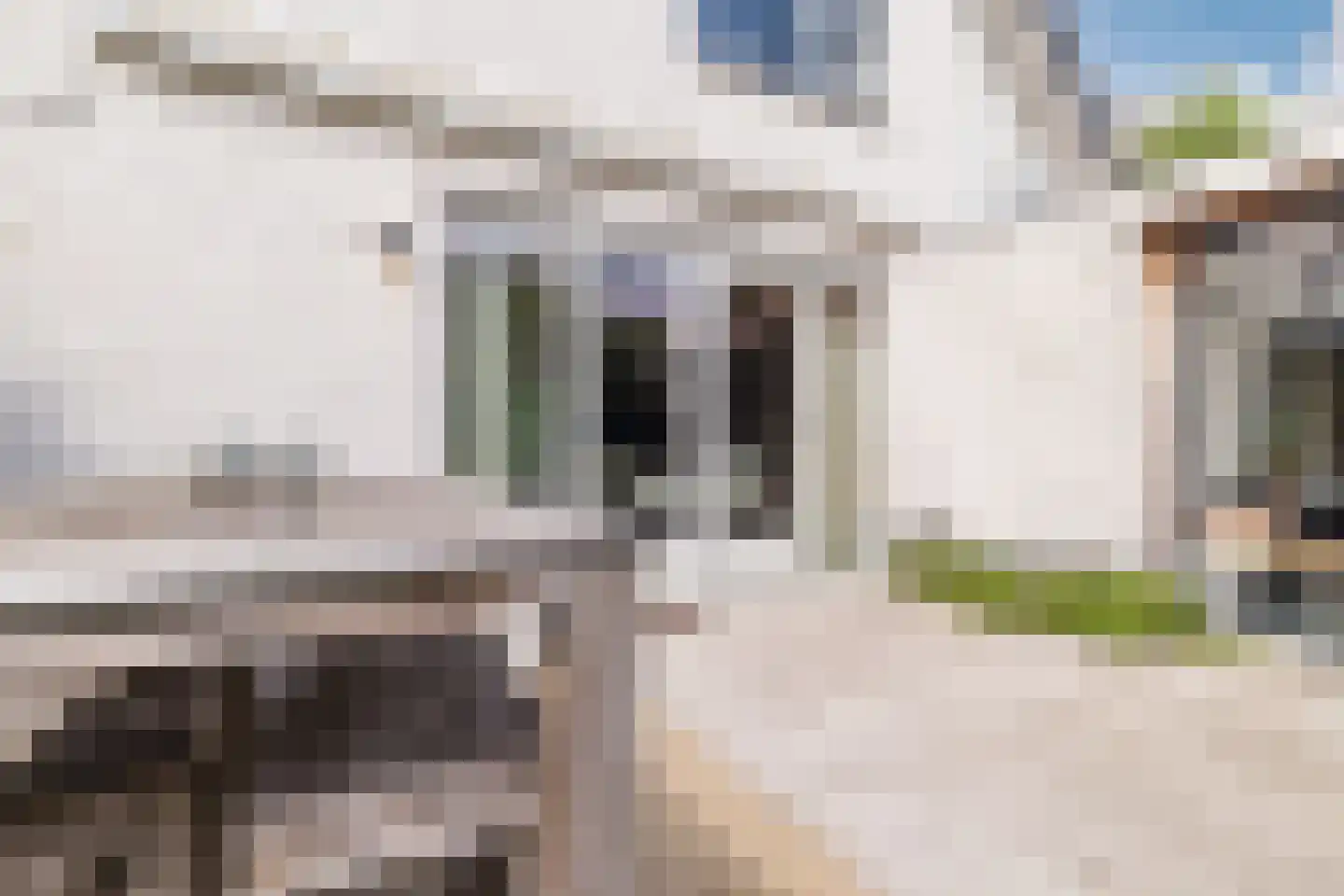Doorniksland 10 Hoevelaken thumbnail 57