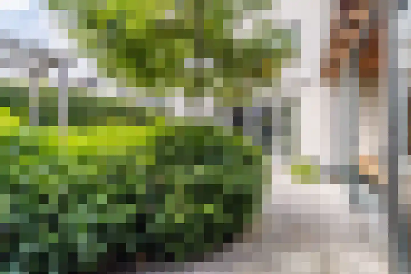 Doorniksland 10 Hoevelaken thumbnail 60