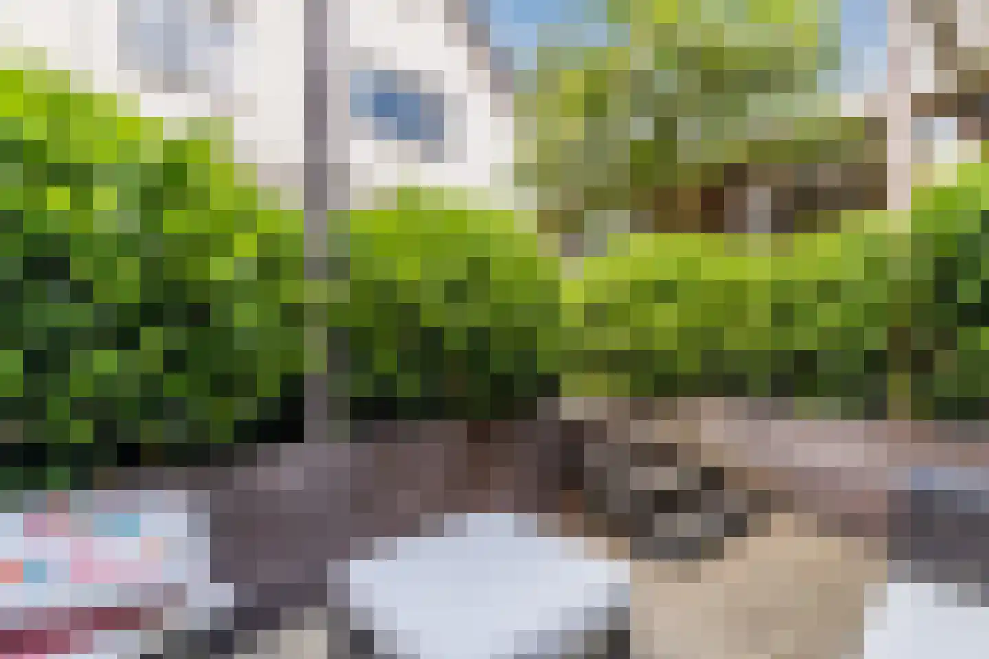Doorniksland 10 Hoevelaken thumbnail 61