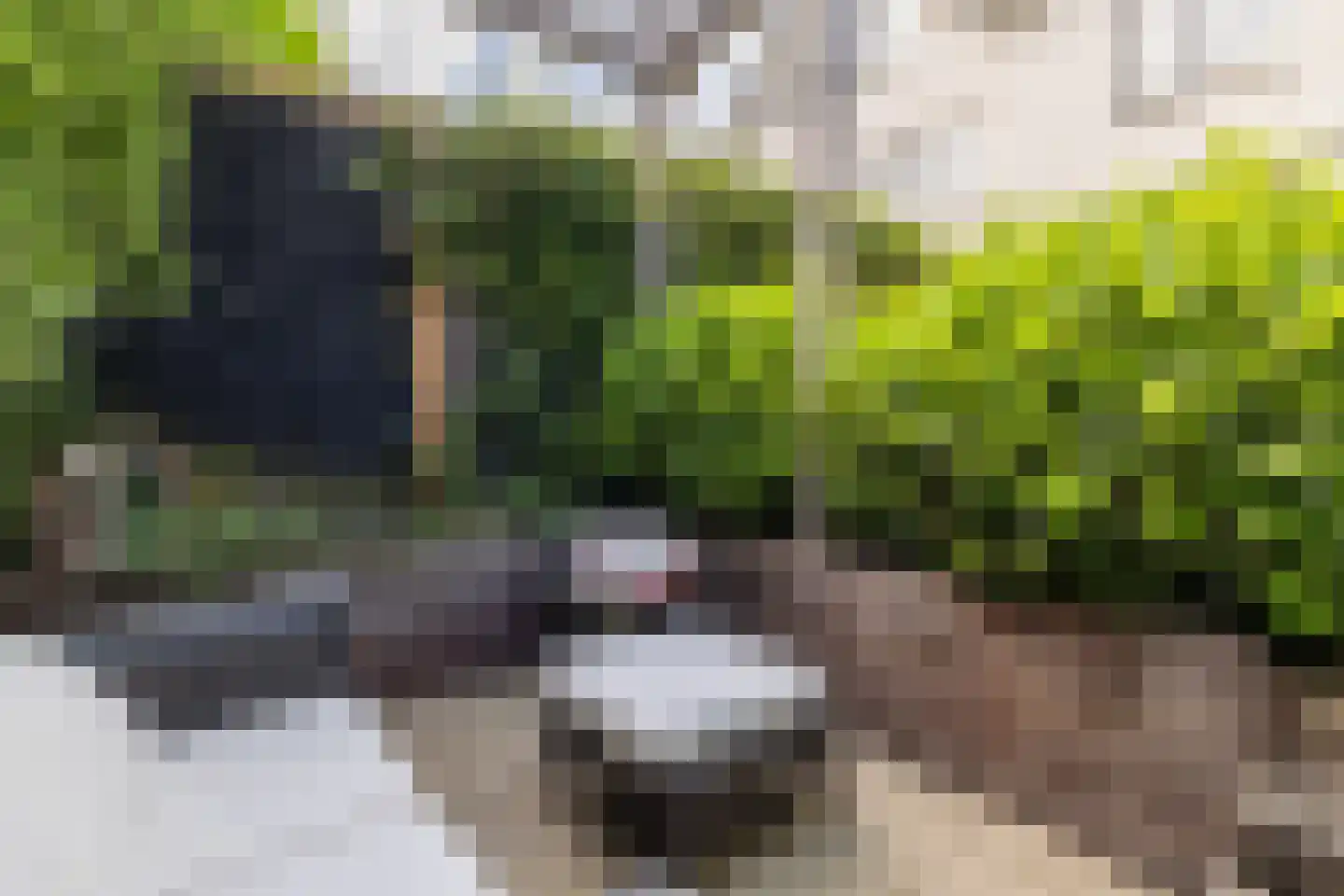 Doorniksland 10 Hoevelaken thumbnail 62