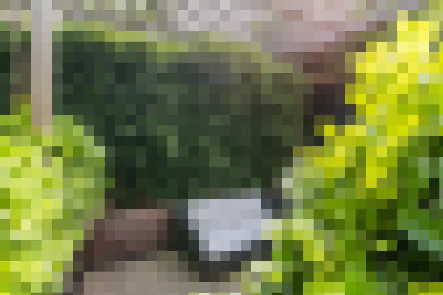Doorniksland 10 Hoevelaken thumbnail 63