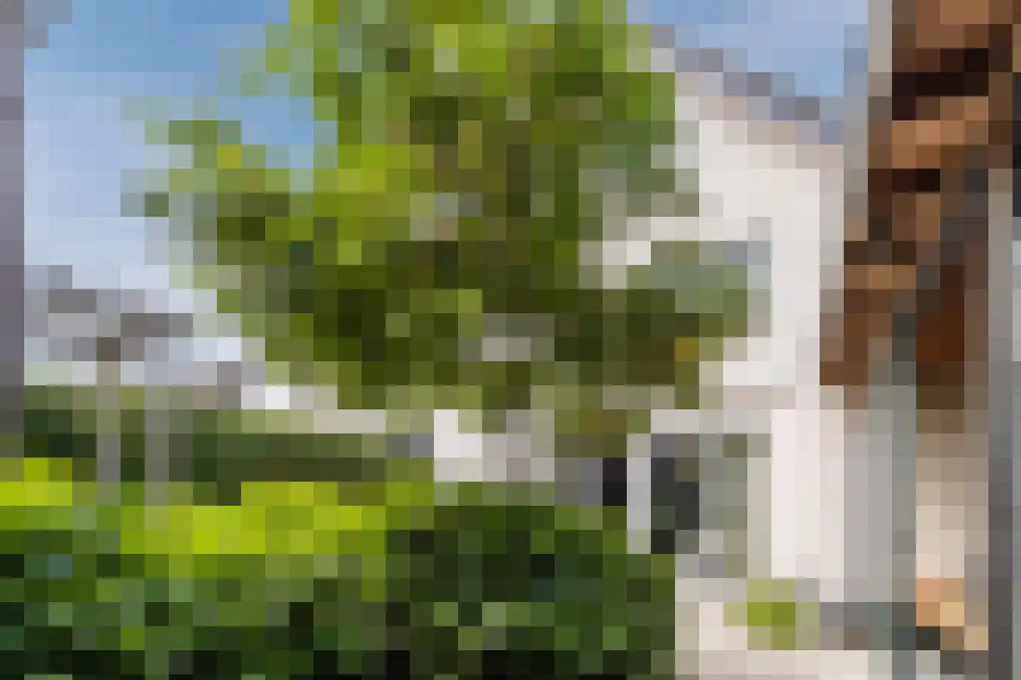 Doorniksland 10 Hoevelaken thumbnail 64
