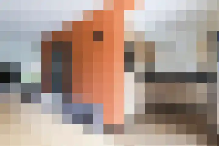 Doorniksland 6 Hoevelaken thumbnail 10