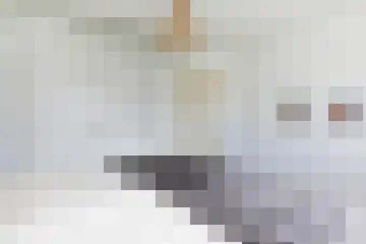 Doorniksland 6 Hoevelaken thumbnail 19