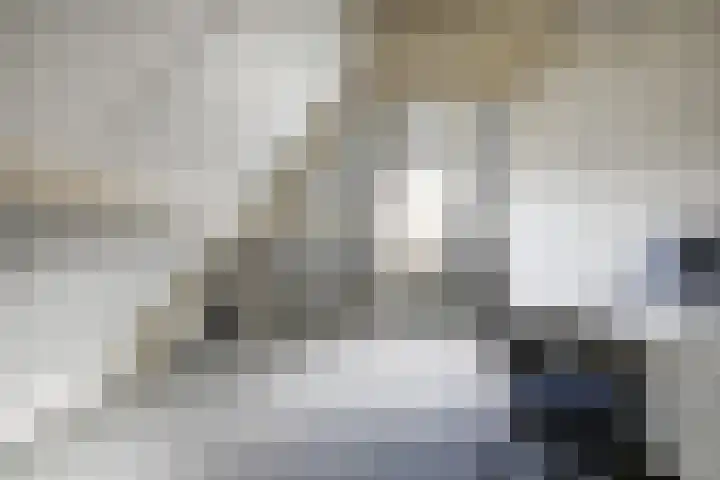 Doorniksland 6 Hoevelaken thumbnail 29