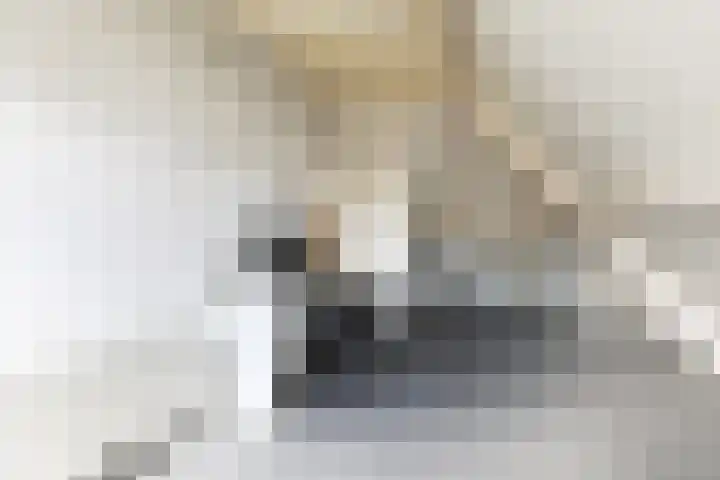Doorniksland 6 Hoevelaken thumbnail 30