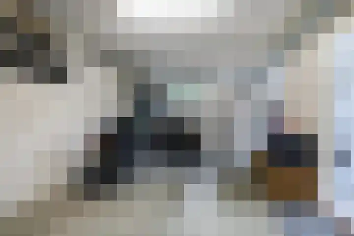 Doorniksland 6 Hoevelaken thumbnail 33