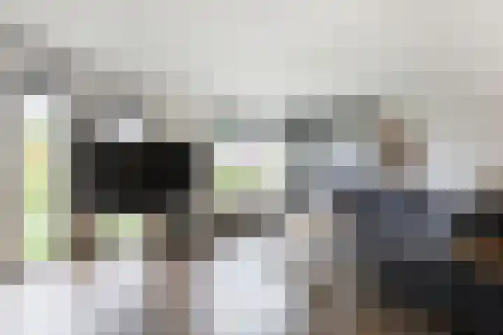 Doorniksland 6 Hoevelaken thumbnail 4