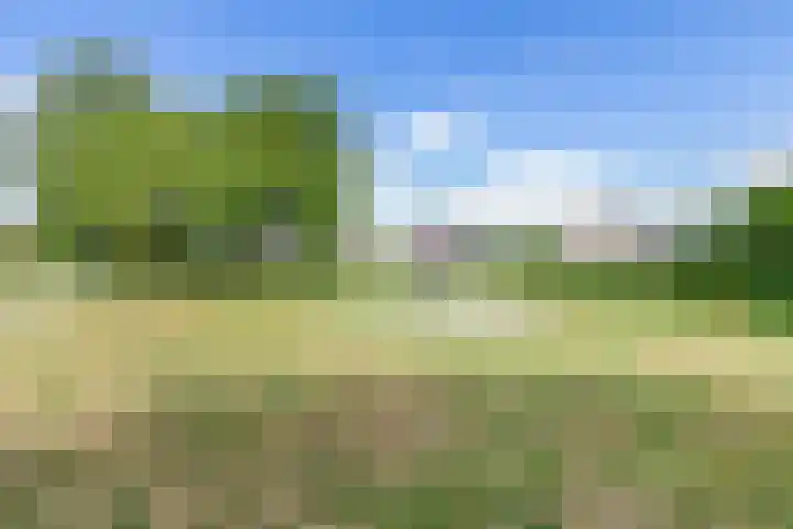 Doorniksland 6 Hoevelaken thumbnail 47
