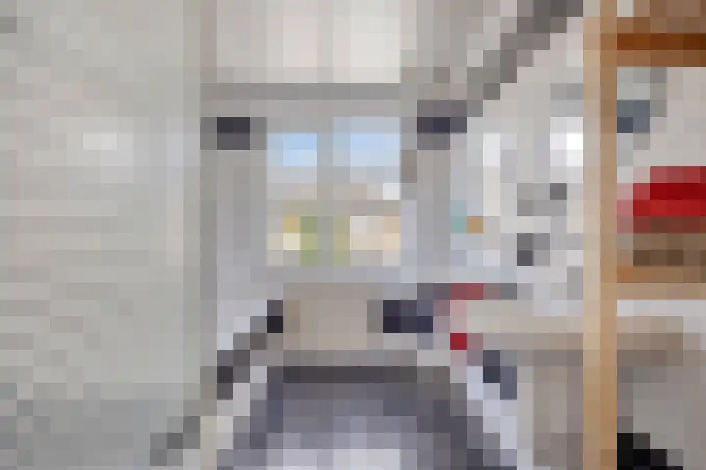 Doornikstraat 16 's-Hertogenbosch thumbnail 18