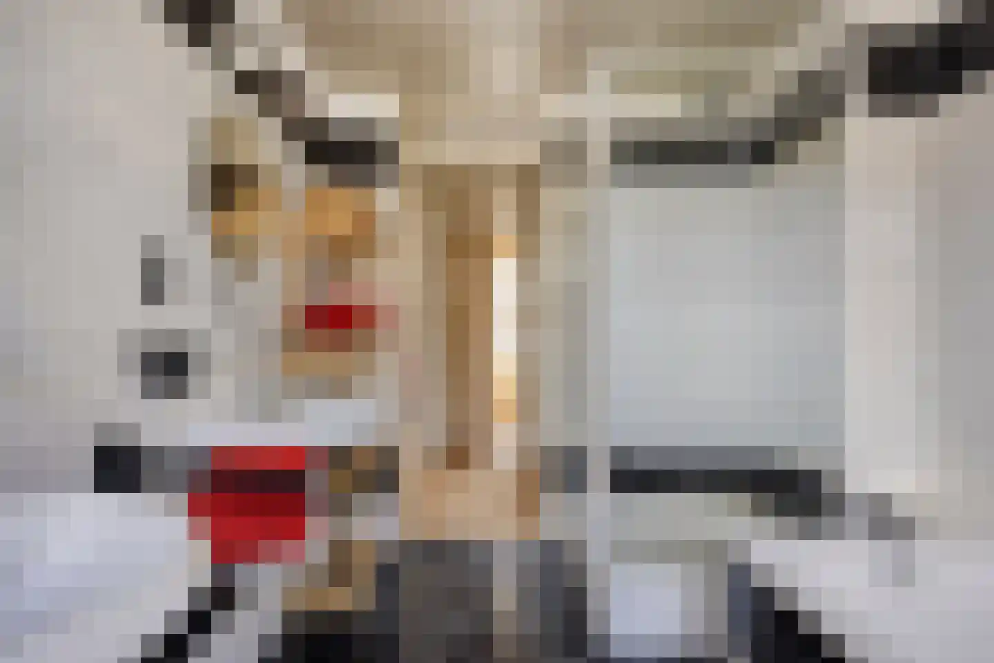 Doornikstraat 16 's-Hertogenbosch thumbnail 21
