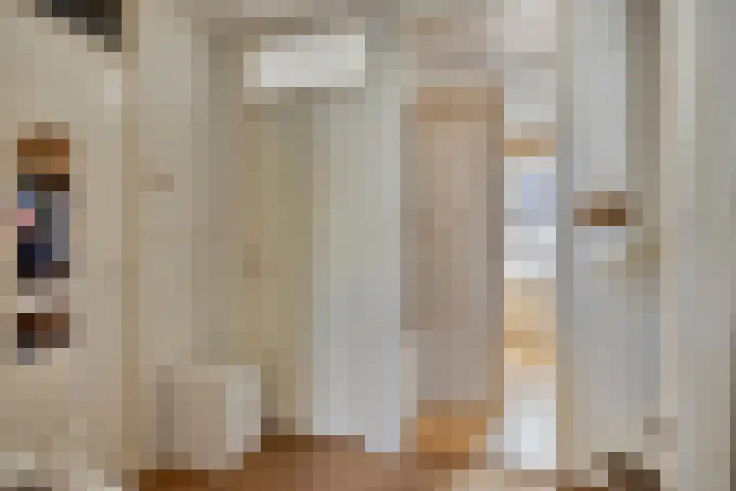 Doornikstraat 16 's-Hertogenbosch thumbnail 22