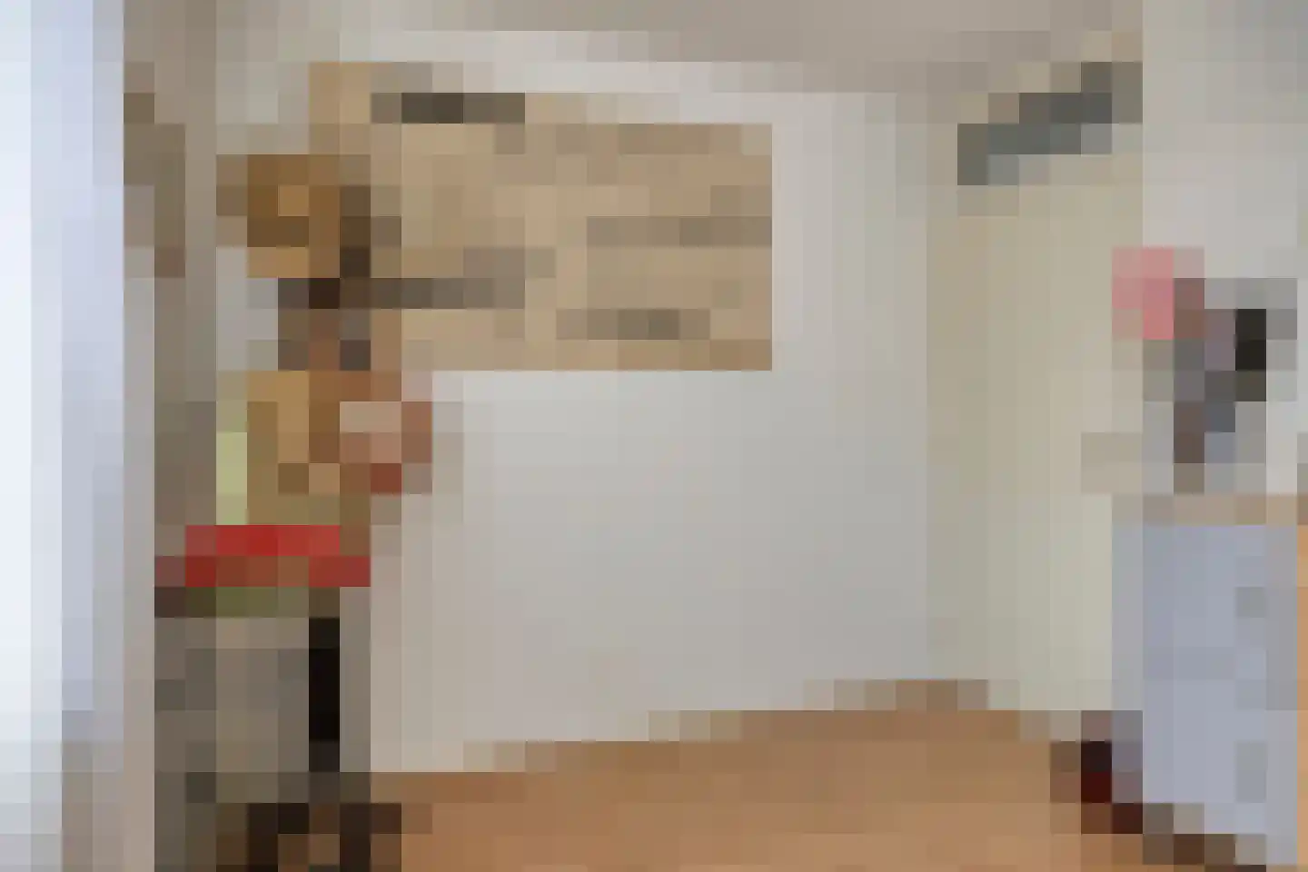 Doornikstraat 16 's-Hertogenbosch thumbnail 29