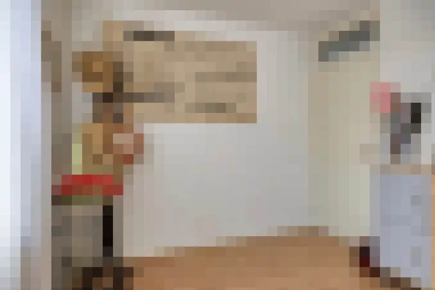 Doornikstraat 16 's-Hertogenbosch thumbnail 31