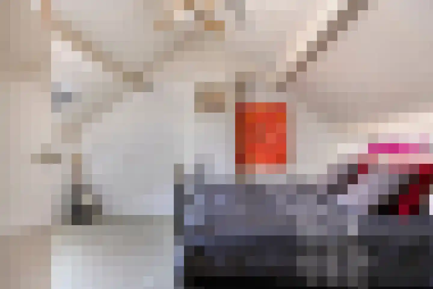 Doornikstraat 16 's-Hertogenbosch thumbnail 33