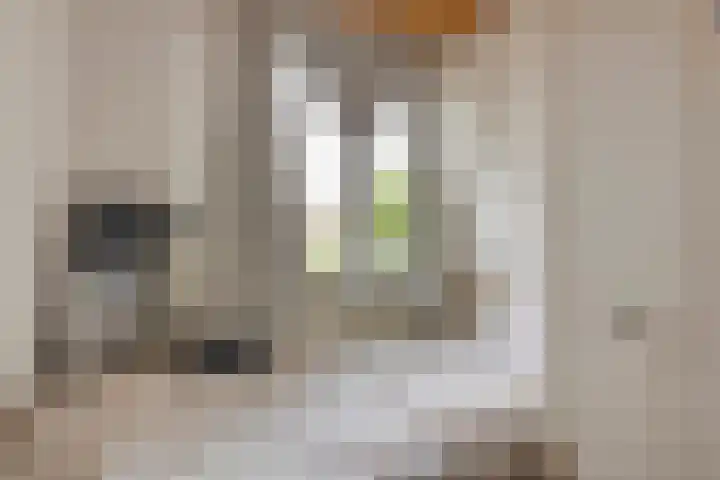 Doornikstraat 2 's-Hertogenbosch thumbnail 11