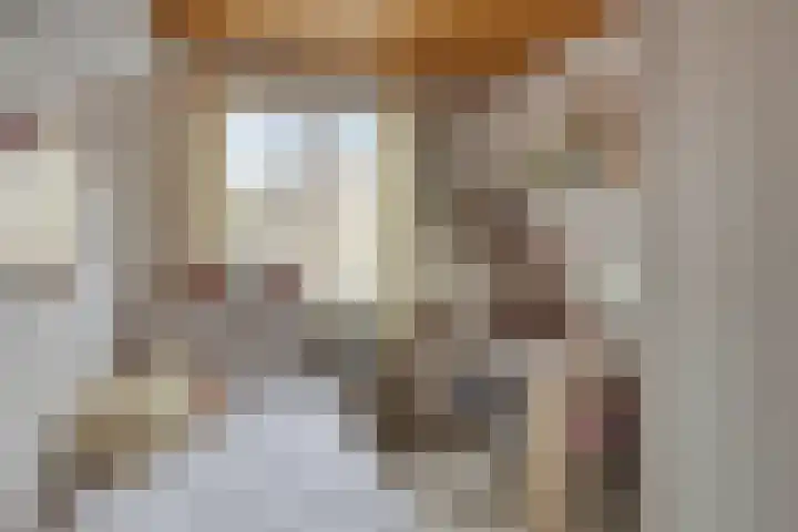 Doornikstraat 2 's-Hertogenbosch thumbnail 12