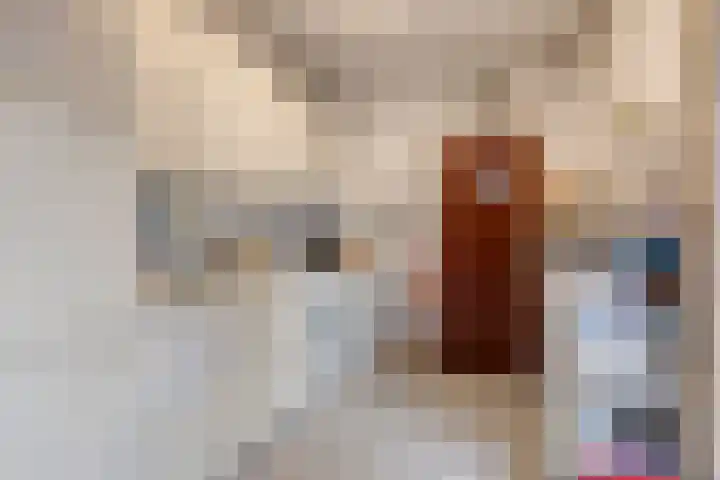 Doornikstraat 2 's-Hertogenbosch thumbnail 8