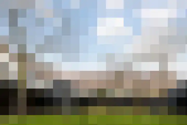 Doornlaan 168 Ede thumbnail 22