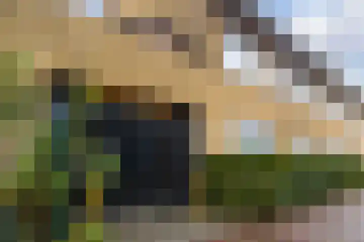 Doornlaan 168 Ede thumbnail 25