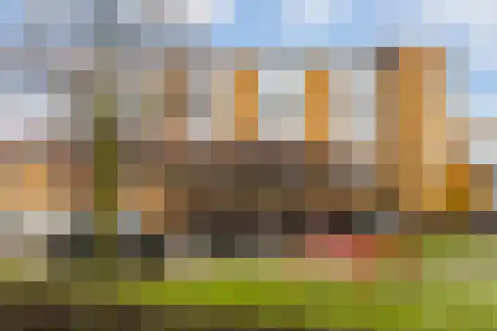 Doornlaan 168 Ede thumbnail 30