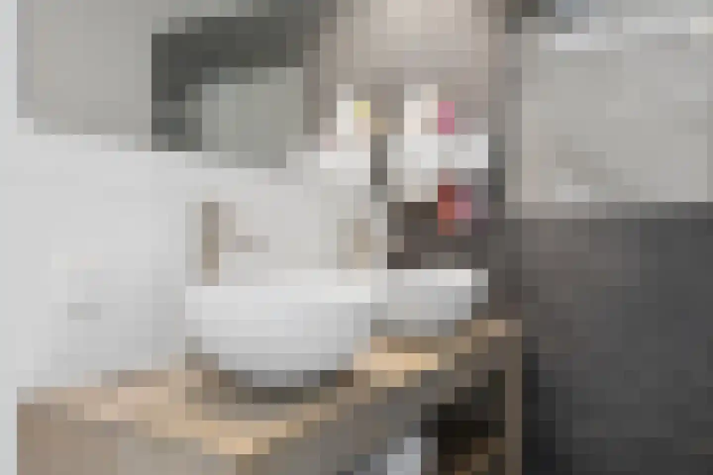Doornlaan 21 Ede thumbnail 24