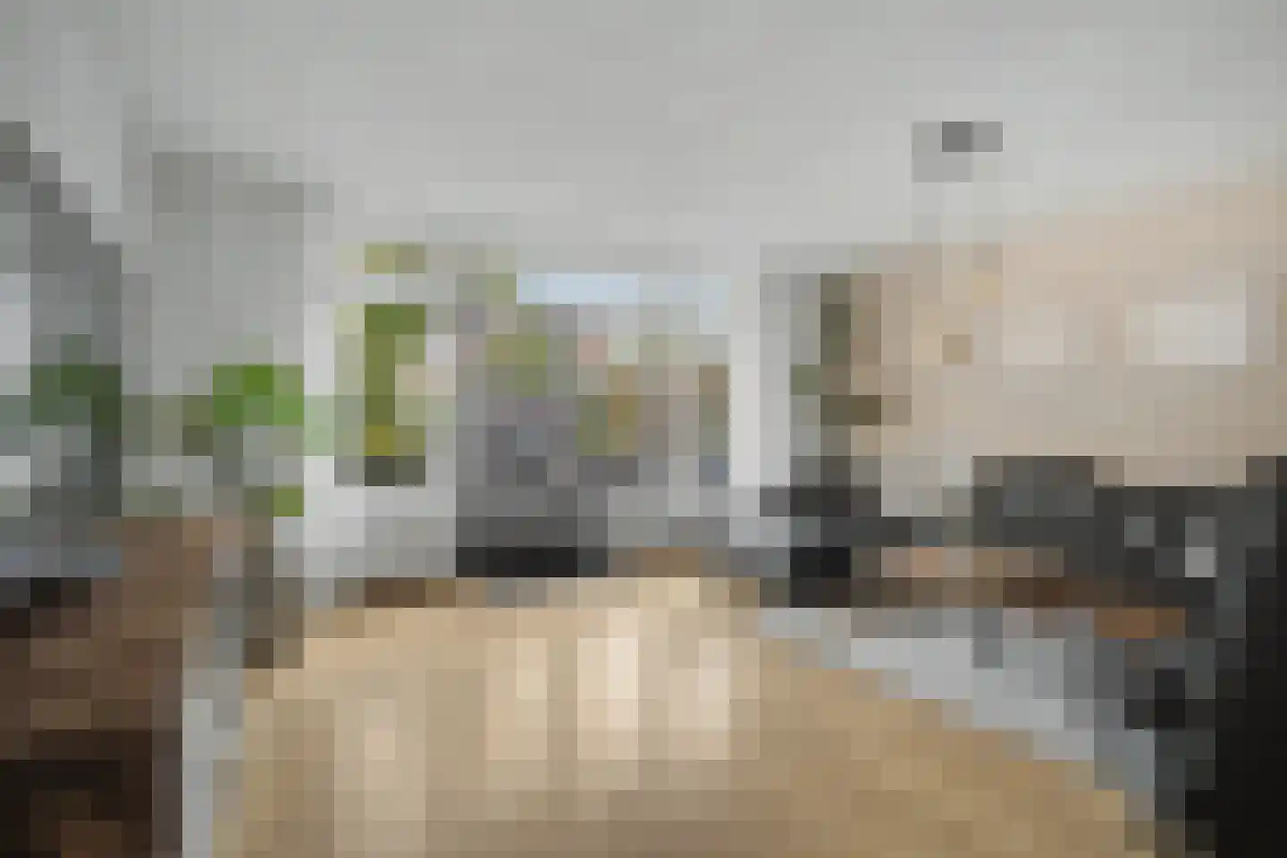 Doornlaan 4 A Ede thumbnail 15