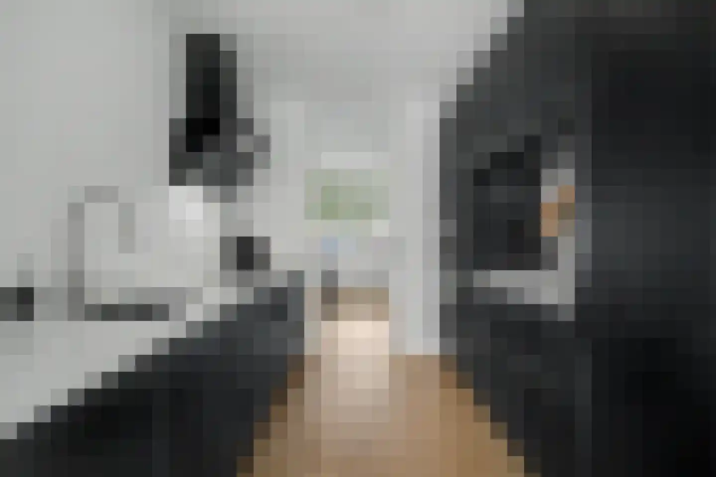 Doornlaan 4 A Ede thumbnail 17