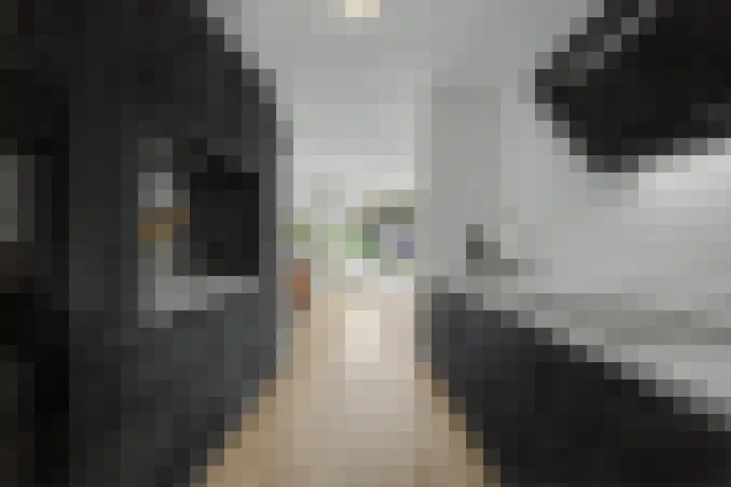 Doornlaan 4 A Ede thumbnail 18