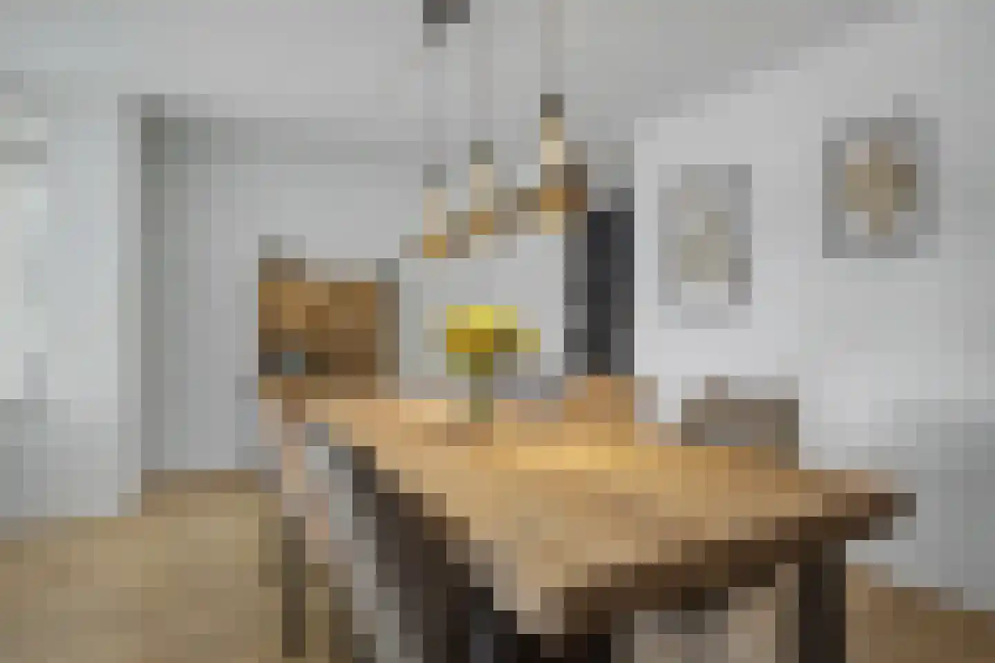 Doornlaan 4 A Ede thumbnail 22