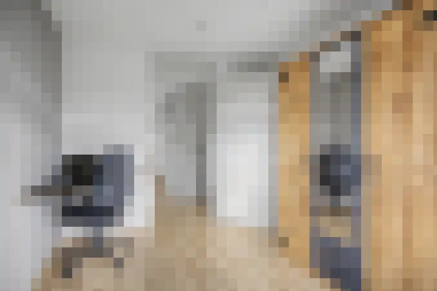 Doornlaan 4 A Ede thumbnail 31