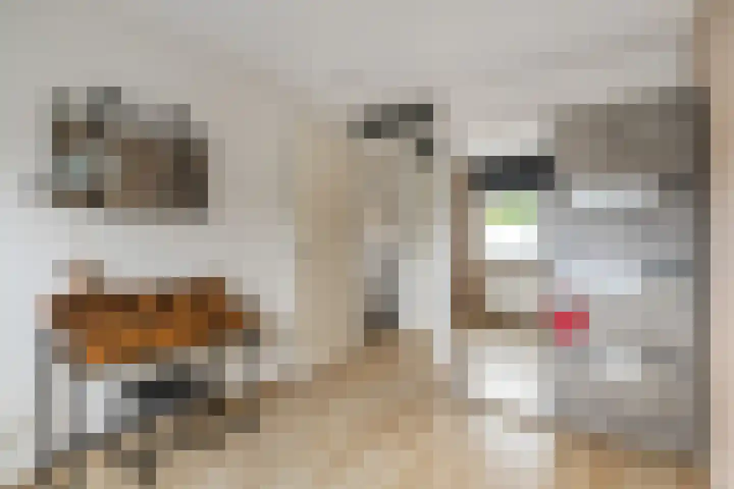 Doornlaan 4 A Ede thumbnail 33