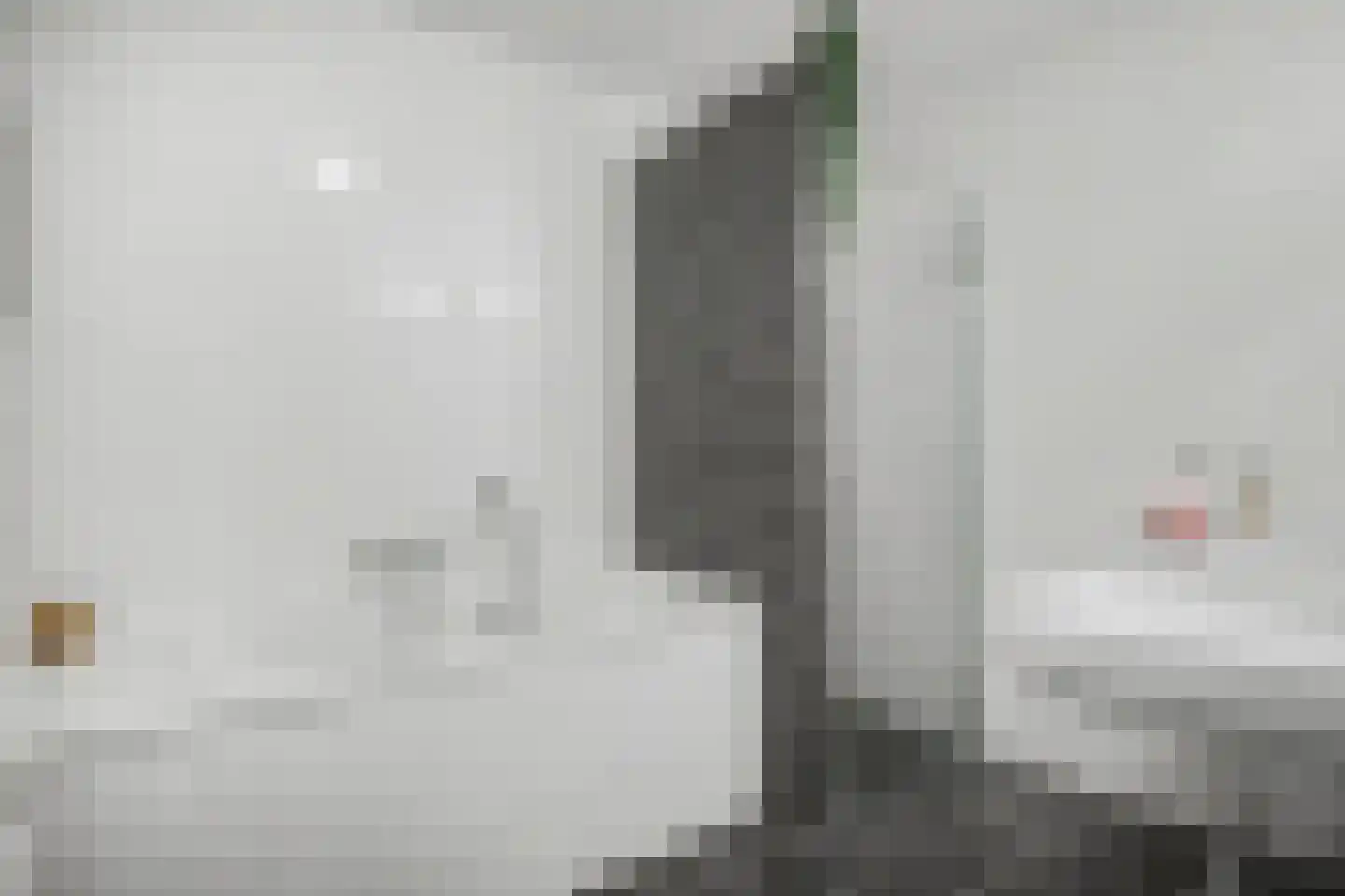 Doornlaan 4 A Ede thumbnail 35