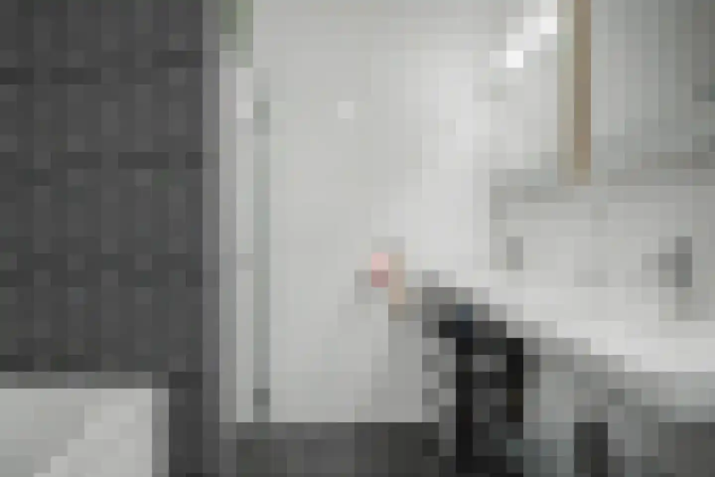 Doornlaan 4 A Ede thumbnail 36