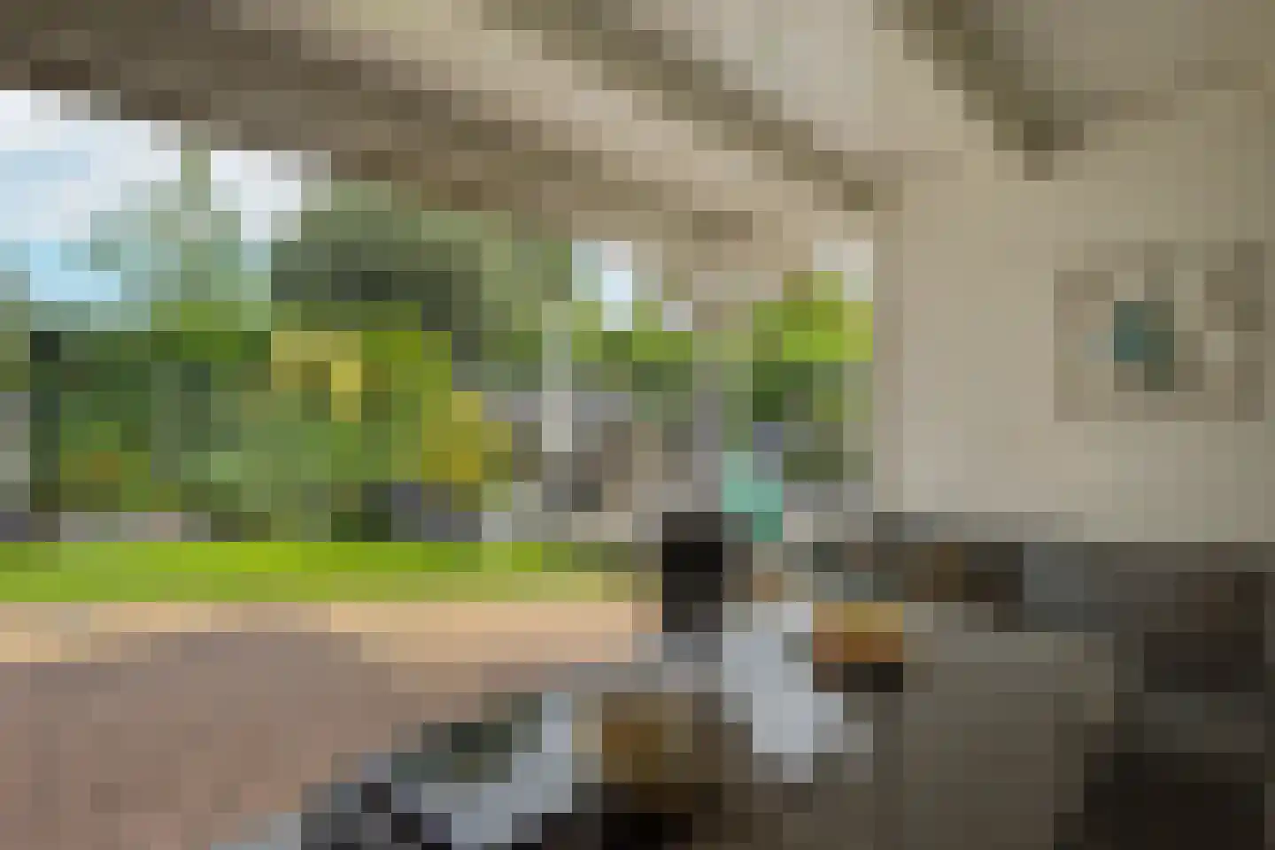 Doornlaan 4 A Ede thumbnail 54