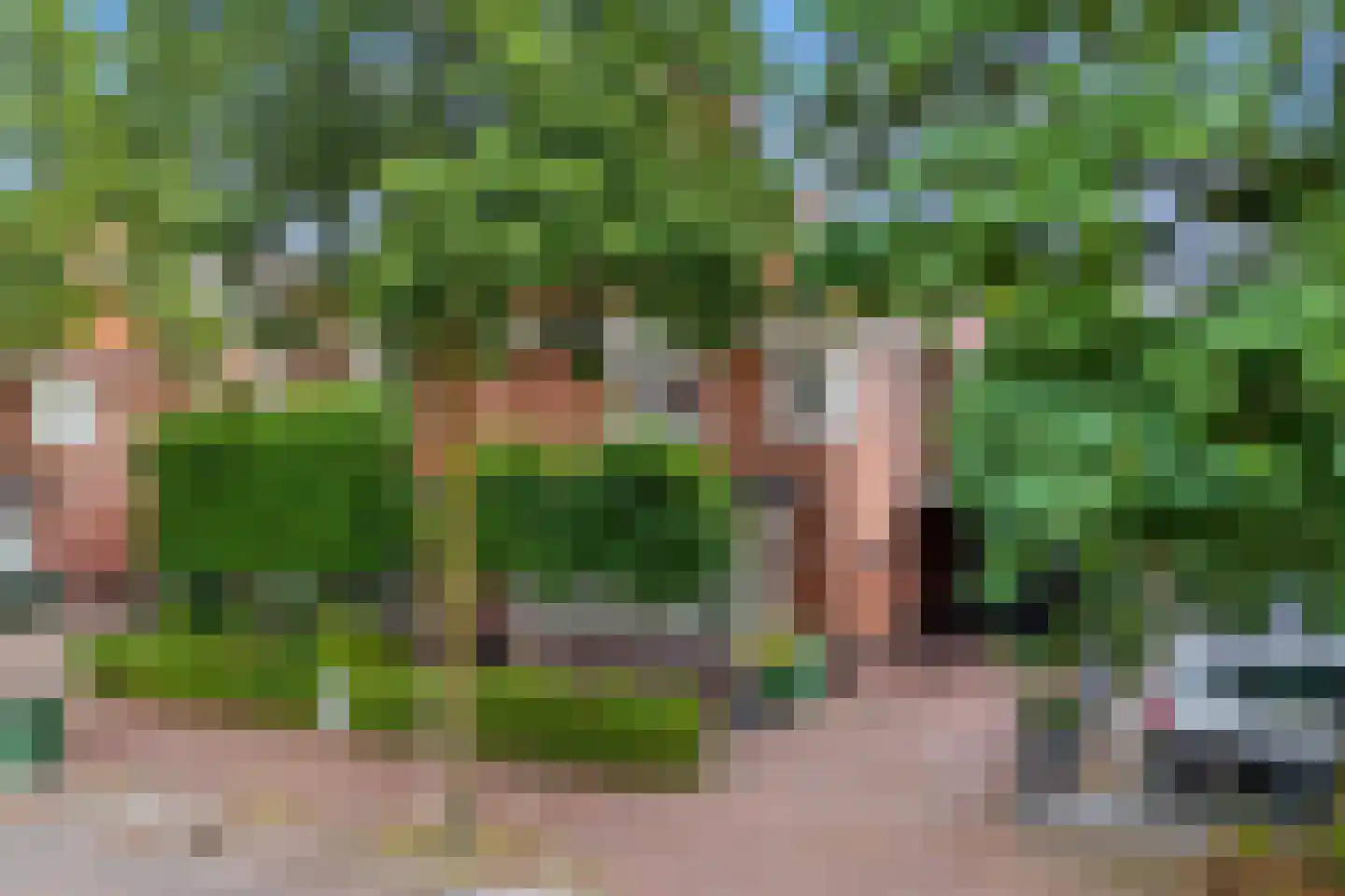 Doornlaan 4 A Ede thumbnail 64
