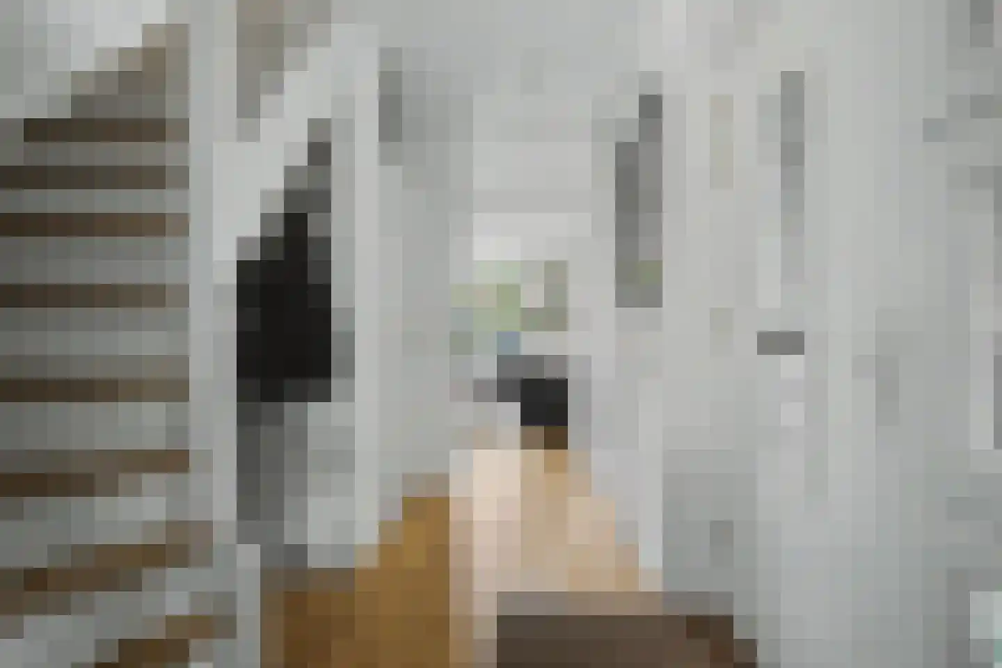 Doornlaan 4 A Ede thumbnail 8