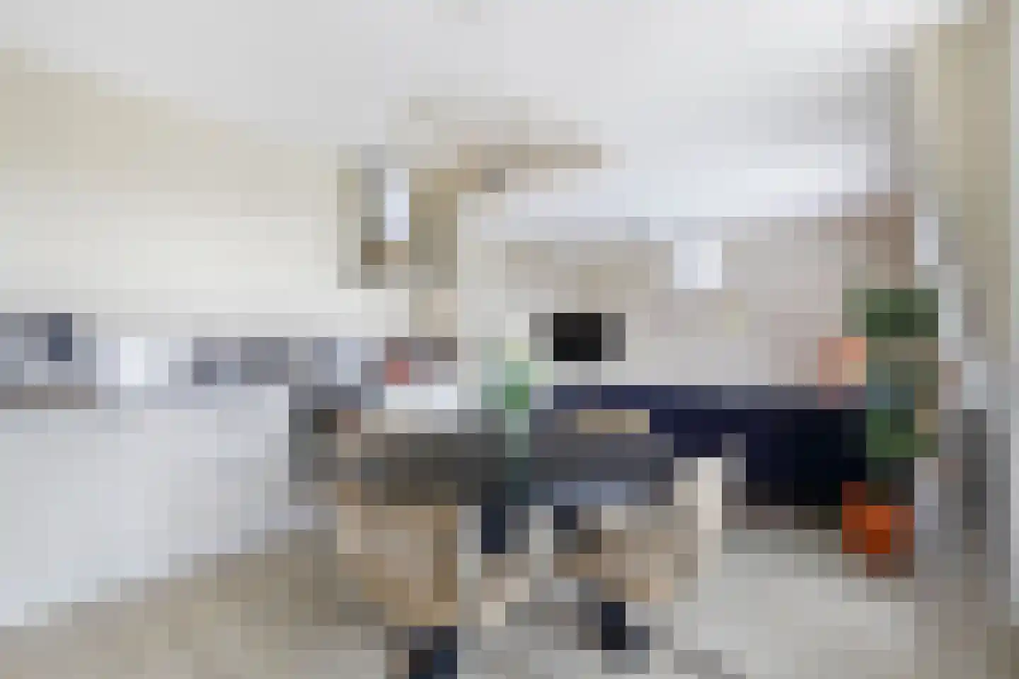 Doornlaan 94 Ede thumbnail 7