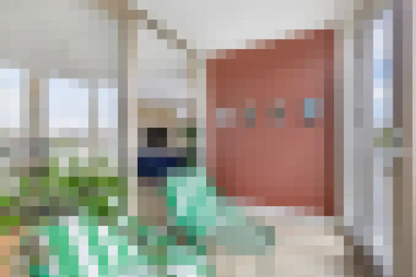 Doornlaan 94 Ede thumbnail 9
