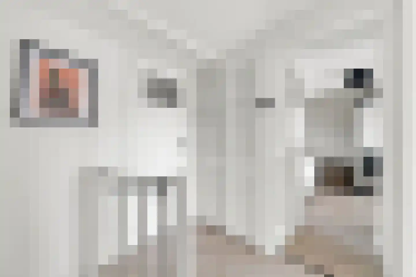 Doornluststraat 23 Oost-Souburg thumbnail 23