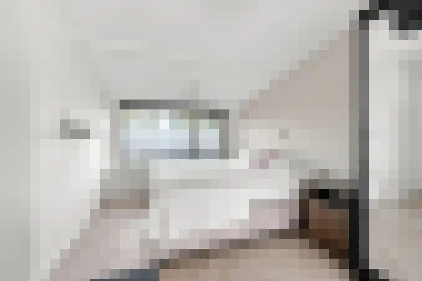 Doornluststraat 23 Oost-Souburg thumbnail 4