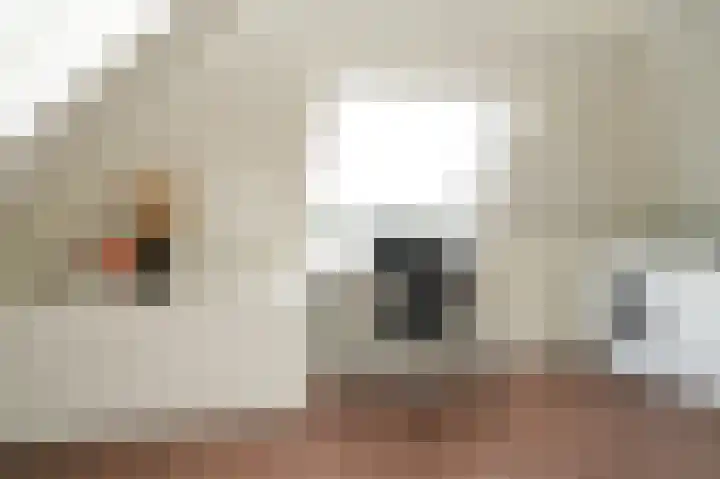 Doornroosjestraat 13 Druten thumbnail 32