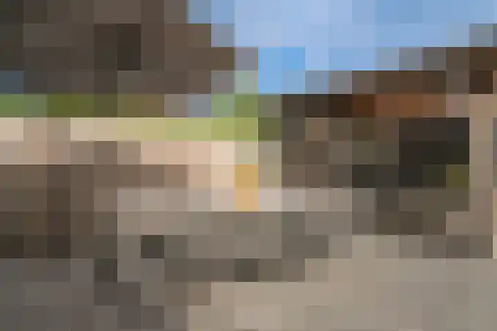 Doornroosjestraat 13 Druten thumbnail 36