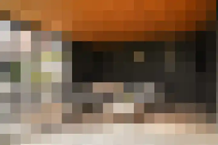 Doornroosjestraat 13 Druten thumbnail 38