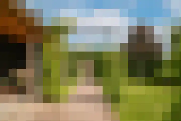 Doornroosjestraat 13 Druten thumbnail 42